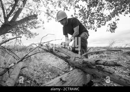 Grayscale shot of a lumberjack with a chainsaw in a forest Stock Photo