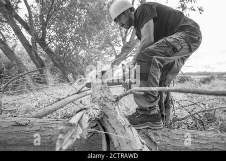 Grayscale shot of a lumberjack with a chainsaw in a forest Stock Photo