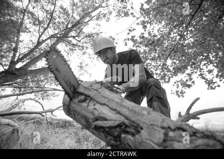 Grayscale shot of a lumberjack with a chainsaw in a forest Stock Photo