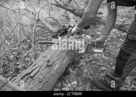 Grayscale shot of a lumberjack with a chainsaw in a forest Stock Photo