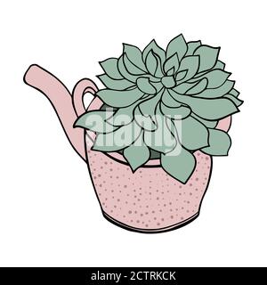 Green succulent in the pink teapot. Cute cactus silhouette Lovely home plant vector.  Stock Vector