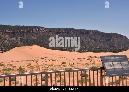 Kanab, UT. U.S.A. 8/12/2020. Coral Pink Sand Dunes State Park. Natures handiwork formed the dunes by erosion of pink-colored Navajo Sandstone. Stock Photo