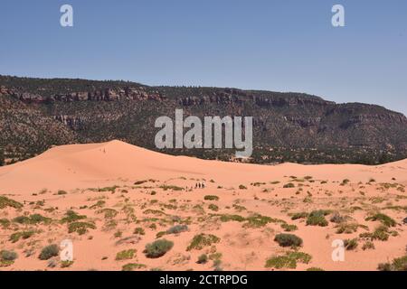 Kanab, UT. U.S.A. 8/12/2020. Coral Pink Sand Dunes State Park. Natures handiwork formed the dunes by erosion of pink-colored Navajo Sandstone. Stock Photo