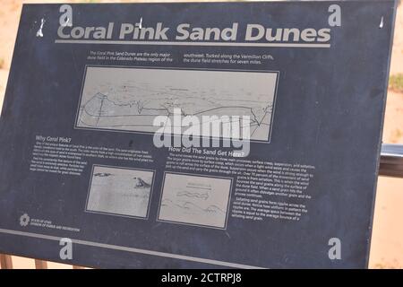 Kanab, UT. U.S.A. 8/12/2020. Coral Pink Sand Dunes State Park. Natures handiwork formed the dunes by erosion of pink-colored Navajo Sandstone. Stock Photo