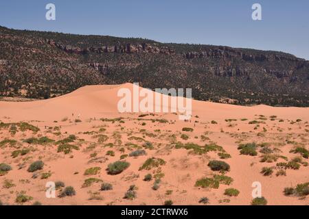 Kanab, UT. U.S.A. 8/12/2020. Coral Pink Sand Dunes State Park. Natures handiwork formed the dunes by erosion of pink-colored Navajo Sandstone. Stock Photo