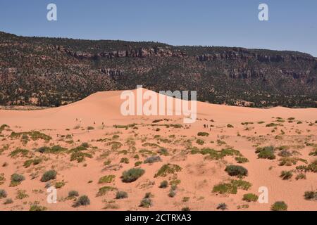 Kanab, UT. U.S.A. 8/12/2020. Coral Pink Sand Dunes State Park. Natures handiwork formed the dunes by erosion of pink-colored Navajo Sandstone. Stock Photo