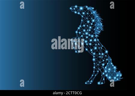 Empty low poly style horse with luminous lines and dots. Stock Vector