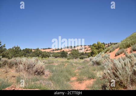 Kanab, UT. U.S.A. 8/12/2020. Coral Pink Sand Dunes State Park. Natures handiwork formed the dunes by erosion of pink-colored Navajo Sandstone. Stock Photo