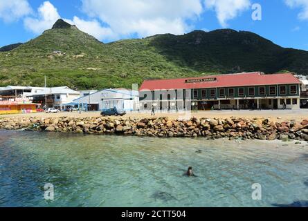 Seals swimming by the wharf in Hout Bay, Cape Town, South Africa. Stock Photo