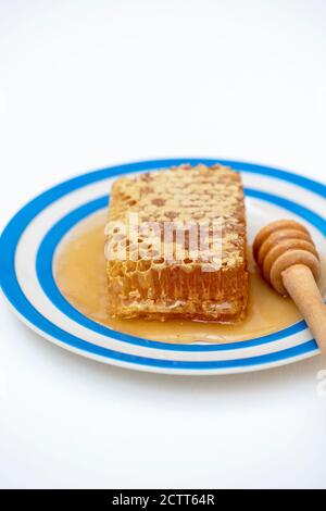 Honeycomb on a cornishware plate with a drizzler Stock Photo