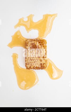 Honeycomb on a white background Stock Photo