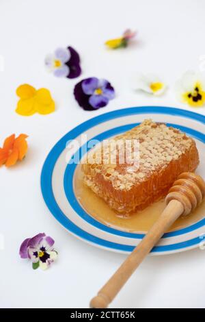 Honeycomb on a cornishware plate with a drizzler and edible flowers Stock Photo