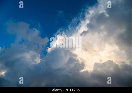 Cumulus clouds lit by sun Stock Photo