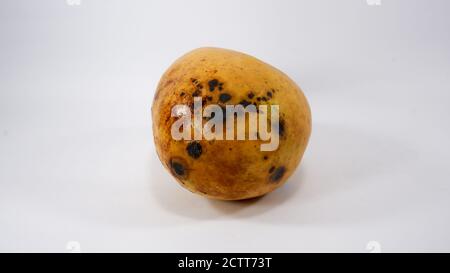 Close up shot of Ripe Philippine Mango on a white background Stock Photo