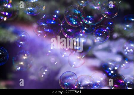 Soap bubbles floating in air Stock Photo