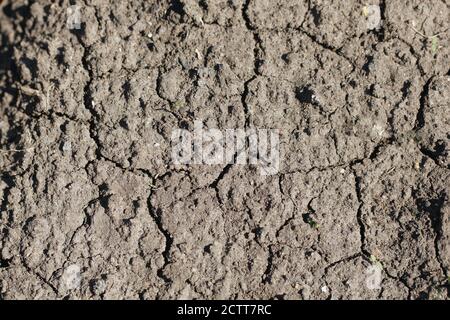 Dried cracked soil ground earth texture background. Stock Photo