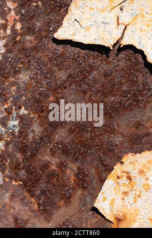 Corroded rusty white metal surface background. Rust stains. Vertical Stock Photo
