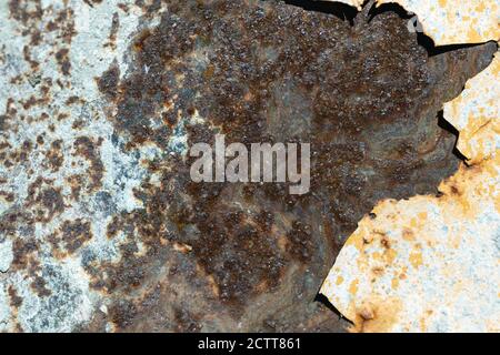 Rusted abstract texture corroded metal background. Brown and white rust on white wall. Stock Photo