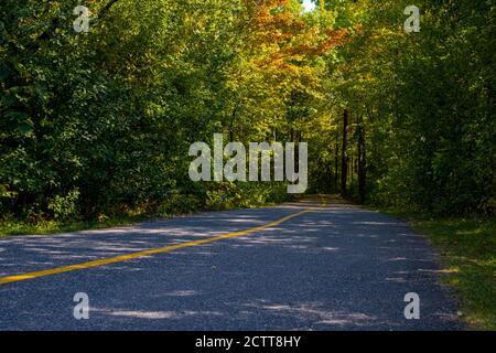 A paved bike path with a yellow painted line runs through a forested area. In early autumn, leaves of green, yellow wand orange line the pathway. Stock Photo