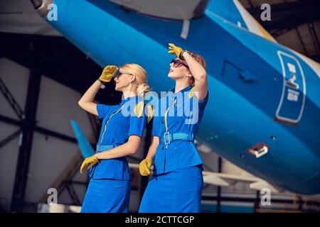Good looking women air stewardesses in blue respective uniform and leather gloves standing in front on big passenger airplane Stock Photo