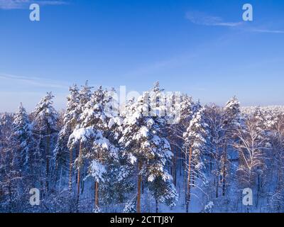Aerial Winter forest Landscape. Bird eye view from drone Stock Photo