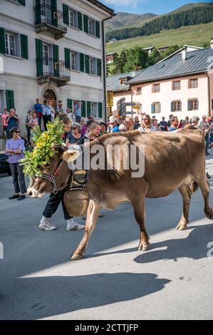 traditionell geschmückte Kuh an Alpabzug in Sent, Engadin Stock Photo