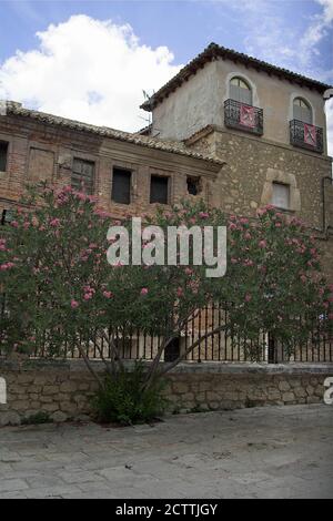 Pastrana, España, Hiszpania, Spain, Spanien; Oleander growing by the fence against the background of a dilapidated tenement house. Oleander am Zaun. Stock Photo