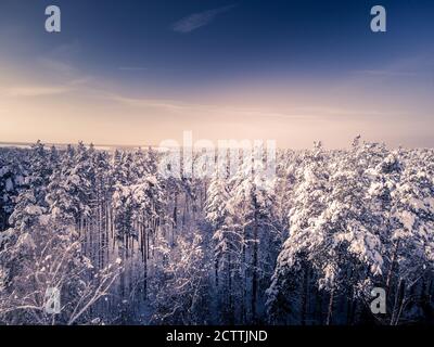 Toned. Aerial view in winter forest in snow after snowfall. Lakes and sky with clouds on background
