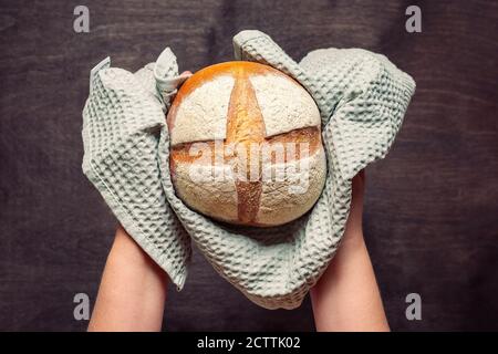 female hands holds freshly baked sourdough bread in napkin from oven on blue wooden table Top view Flat lay Homemade pastry Stock Photo