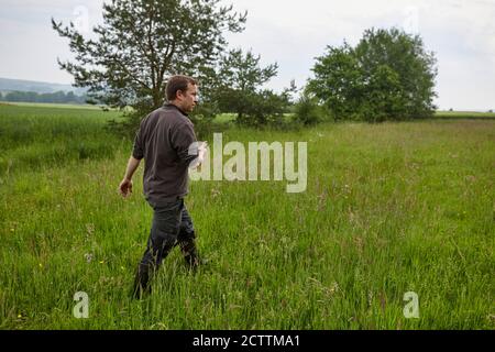 Roe deer (Capreolus caprolus). Fawn rescue. A drone with a thermal imaging camera flies across the meadow before mowing and shows on the screen whether fawns are hidden in the meadow. These can then be taken out of the meadow and thus avoid the mower that kills them. Stock Photo