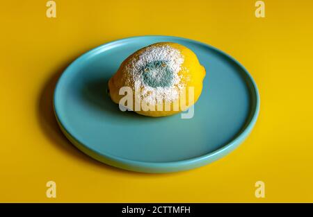 Yellow spoiled lemon with mold on a yellow background Stock Photo