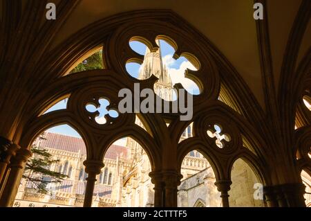 Salisbury cathedral courtyard. View through stone lace of arcade. England, UK. Stock Photo