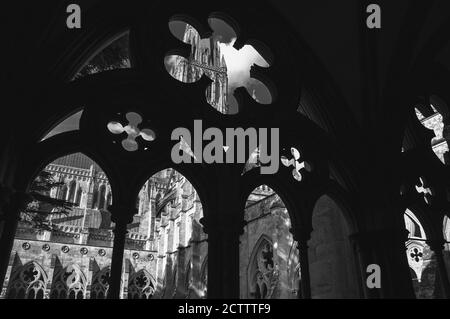 Salisbury cathedral courtyard. View through stone lace of arcade. England, UK. Black white photo. Stock Photo