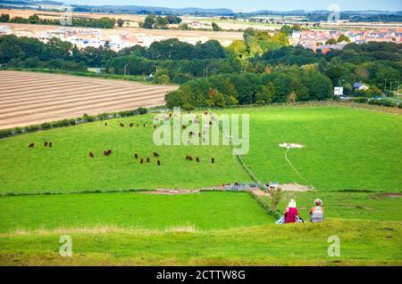 Two mid aged women  with cute dog admiring rural English landscape with grazing cows and village buildings at background. Back view. Wiltshire. Stock Photo