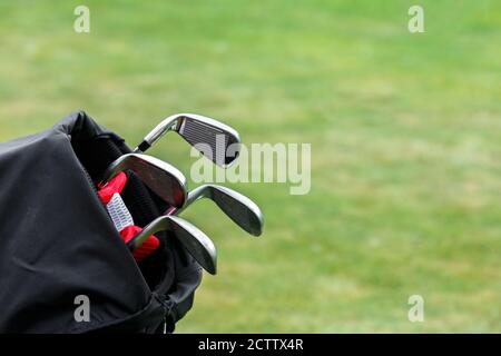 Golf clubs in the trunk. The concept of the game of Golf Stock Photo