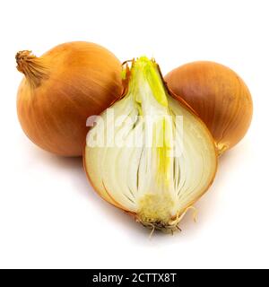 whole and sliced onion bulbs isolated on a white background Stock Photo