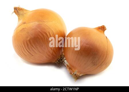 two onion bulbs isolated on a white background Stock Photo