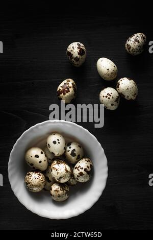 Quail eggs. Flat lay composition with small quail eggs in the bowl on the black wooden background. Quail egg farm Stock Photo