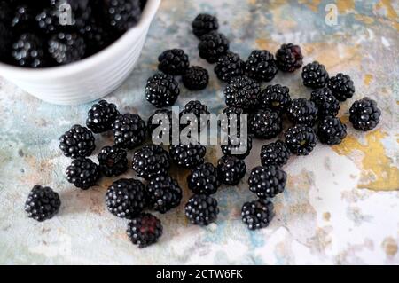freshly picked organic blackberries on faded kitchen work surface, norfolk, england Stock Photo