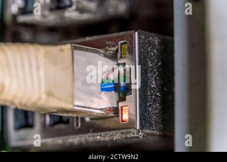 Network cable plugged into the socket, macrophotography Stock Photo