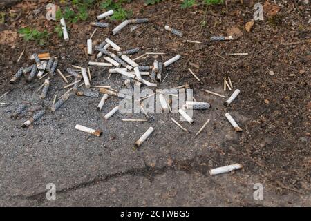 There are a lot of cigarette butts on the ground, copy space Stock Photo