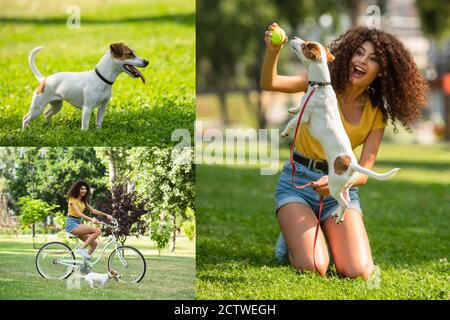 Collage of young woman riding on bike and playing tennis ball with dog Stock Photo