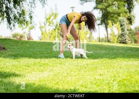 Selective focus of young woman with jack russell terrier dog on grass Stock Photo