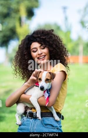 selective focus of joyful, curly woman stroking jack russell terrier dog Stock Photo