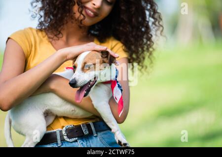 cropped view of curly woman in summer outfit stroking jack russell terrier dog Stock Photo