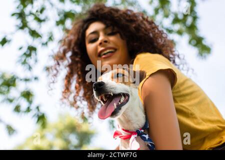 selective focus of excited, curly woman holding jack russell terrier dog, low angle view Stock Photo