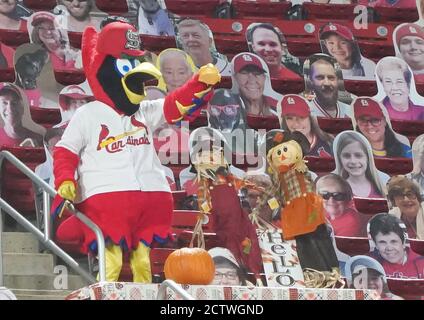 St. Louis Cardinals mascot Fredbird, top, high-fives a group of elementary  school children after they sang the national anthem prior to a baseball  game between the Cardinals and the Detroit Tigers, Sunday, May 7, 2023, in  St. Louis. (AP Photo/Tom Gann