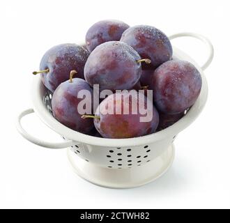fresh wet ripe plums in colander isolated on white background Stock Photo