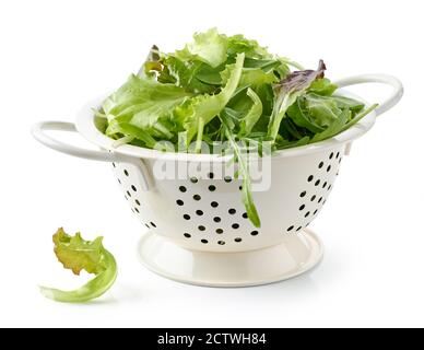 fresh green lettuce leaves in colander isolated on white background Stock Photo