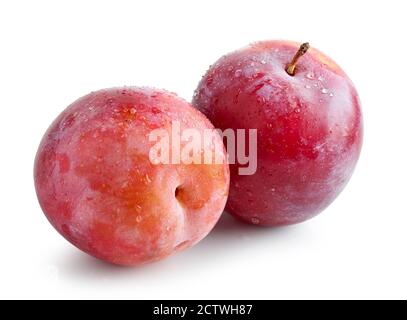 fresh ripe wet red plums isolated on white background Stock Photo